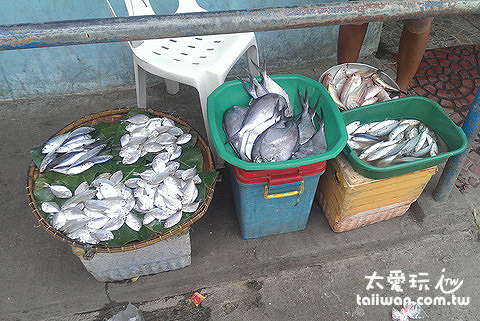 董索Donsol魚市場