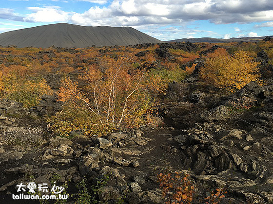 Dimmuborgir黑色城堡與Hverfjall 偽火山口 Dimmuborgir黑色城堡與Hverfjall 偽火山口