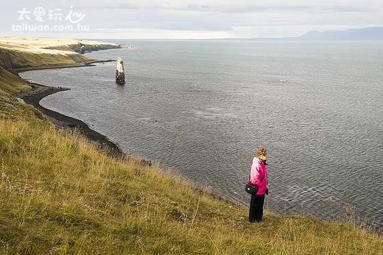 Hvítserkur cliff 象形岩孤伶伶在海上 Hvítserkur cliff 象形岩孤伶伶在海上