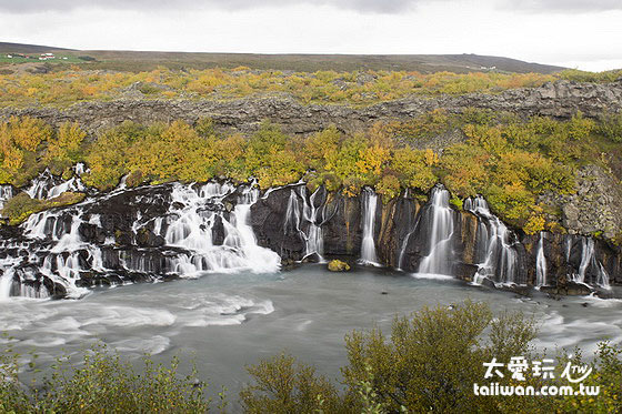 Hraunfossar熔岩瀑布群景色秀麗特別 Hraunfossar熔岩瀑布群景色秀麗特別