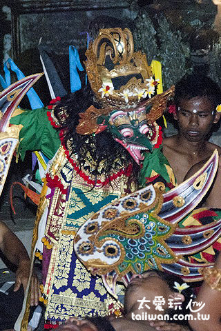 神鷹伽魯達Garuda 神鷹伽魯達Garuda