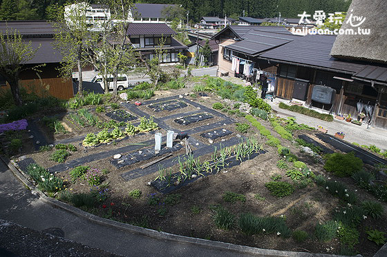 大田屋前的菜園 大田屋前的菜園