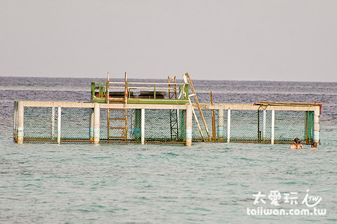 外海的海龜復育場