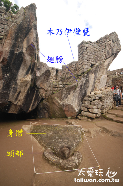 Condor 神廟 Condor 神廟