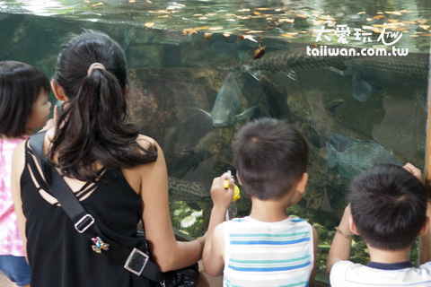 水族動物區 水族動物區