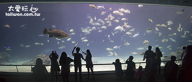 大洋池巨型展示窗 大洋池巨型展示窗