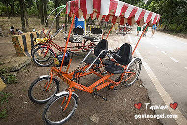 家庭單車，中間可以載小孩